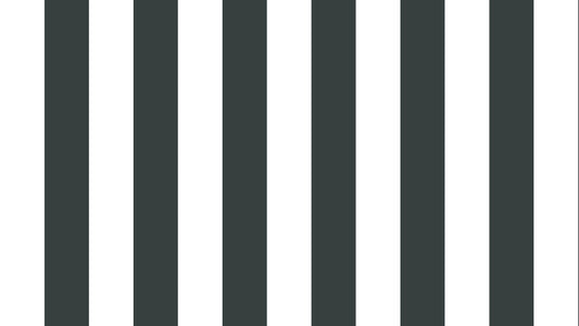 Big Stripes - Vit/Mörkgrå