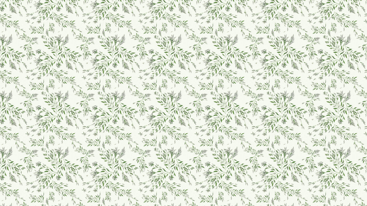 Spirea - Schneewittchen