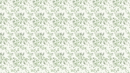 Spirea - Schneewittchen