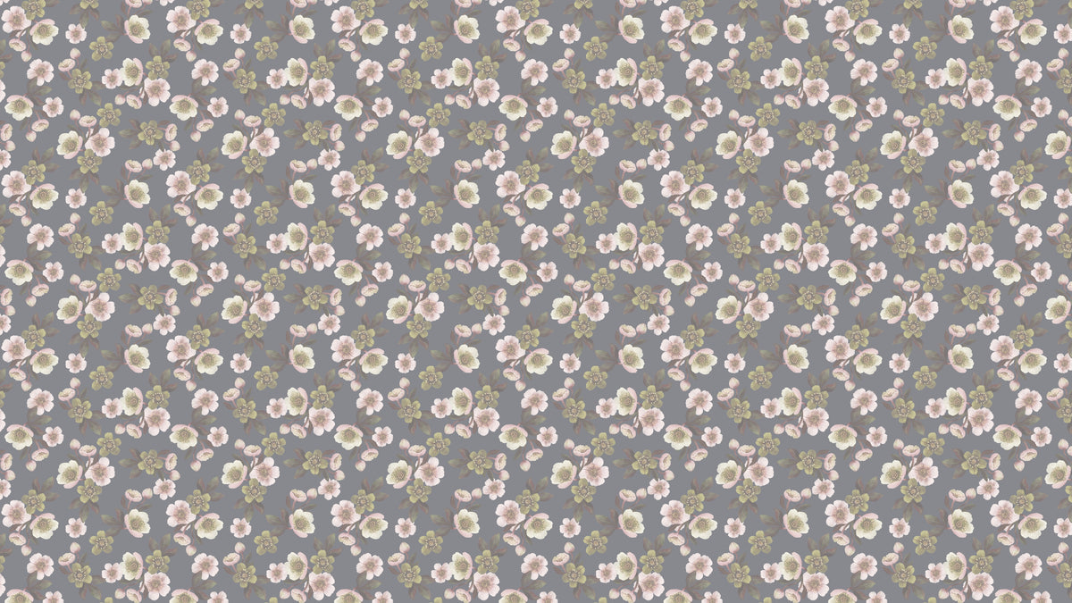 Hellebores - Slate