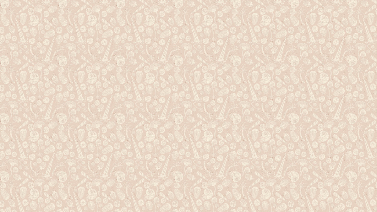 Fossilien - Rosa
