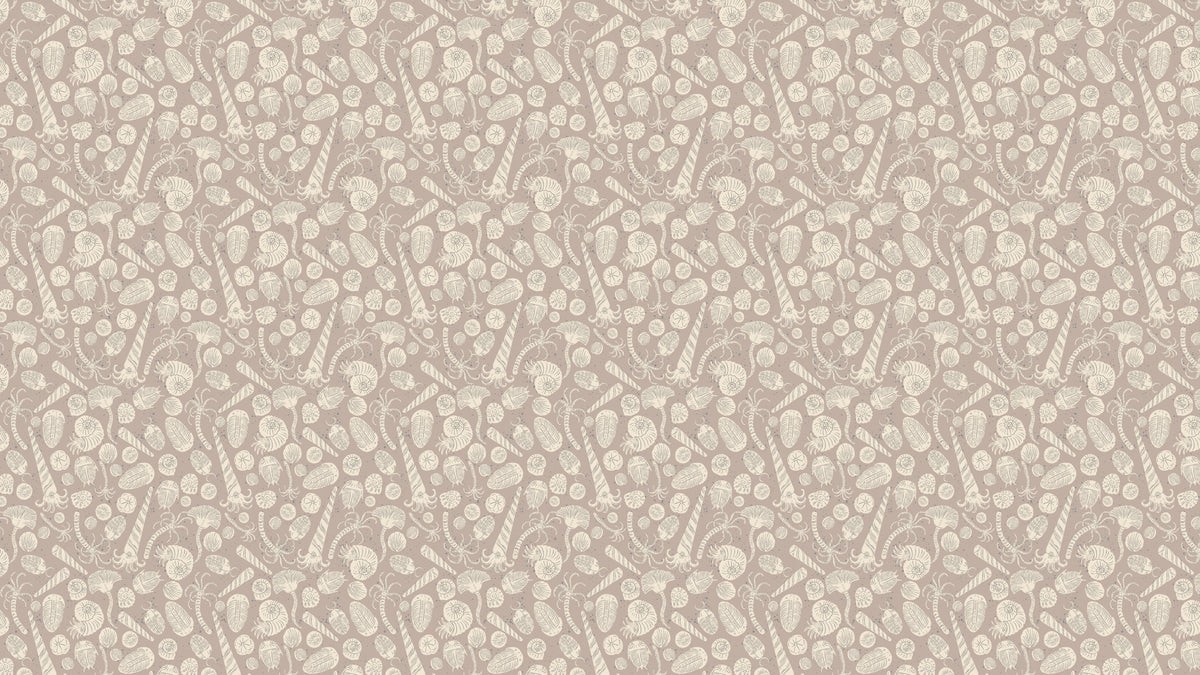 Fossils - Mole