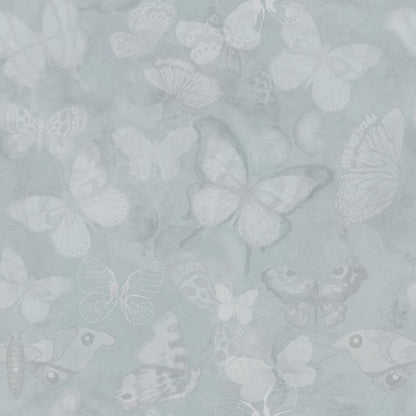 Mariposa - Regntunga moln