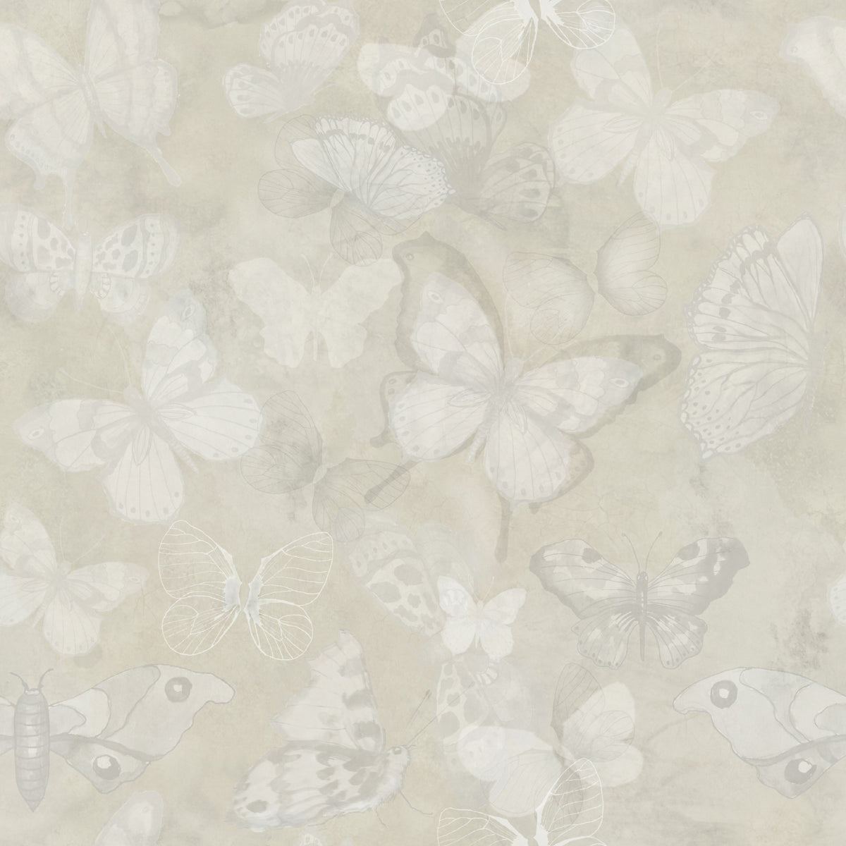 Mariposa – Ungebleicht