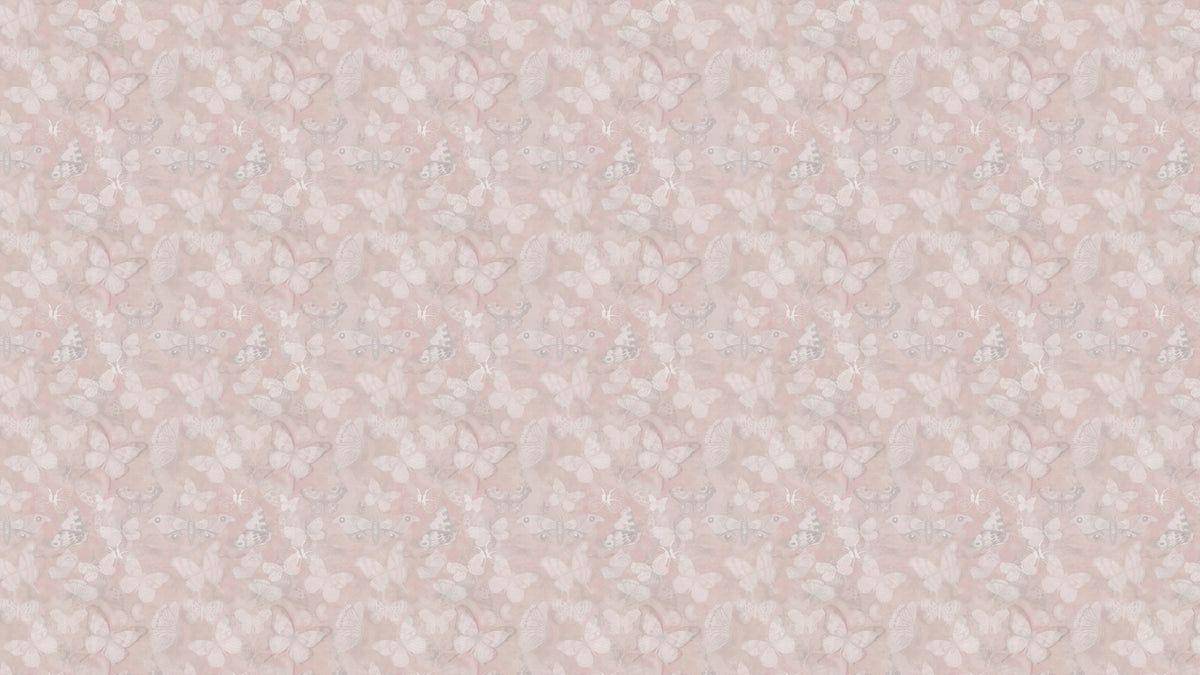 Mariposa - Rose