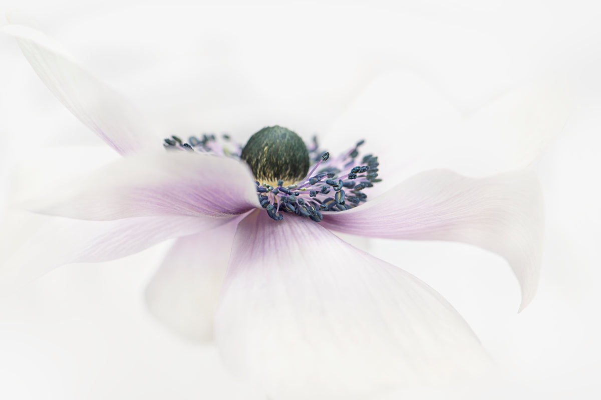 Simplicity