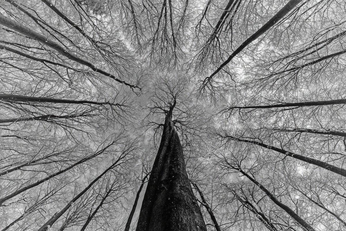 Winteransichten