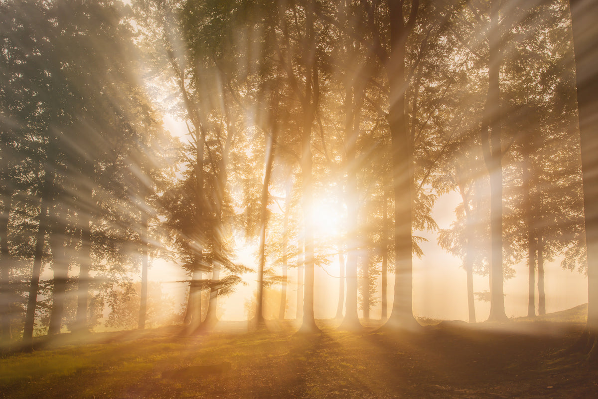 Vom Licht geblendet