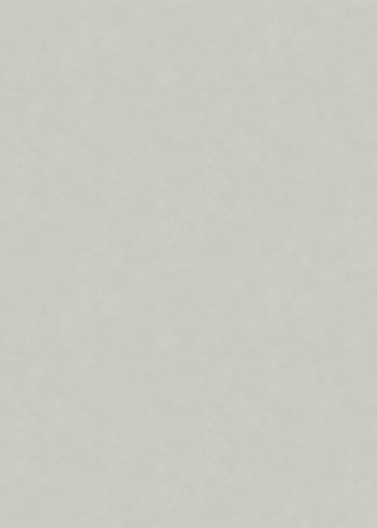 TAPETE NEBEL – PERLE – BEIGE