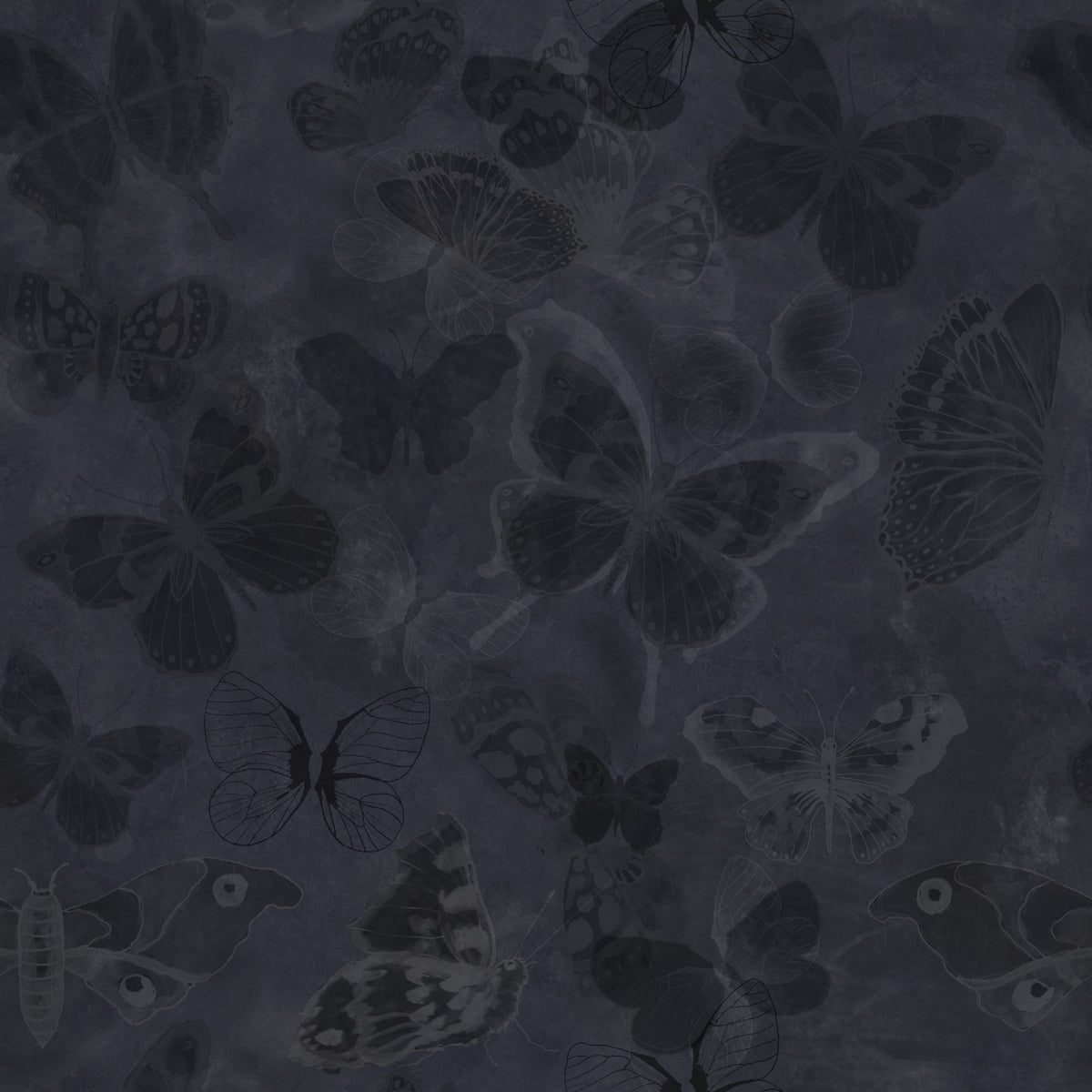Mariposa - Charcoal