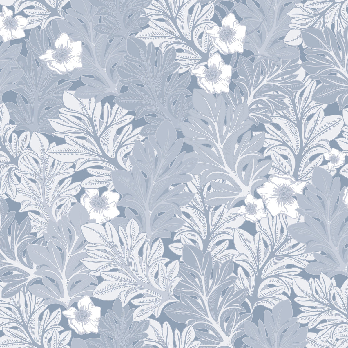 Acanthus flower - Dove