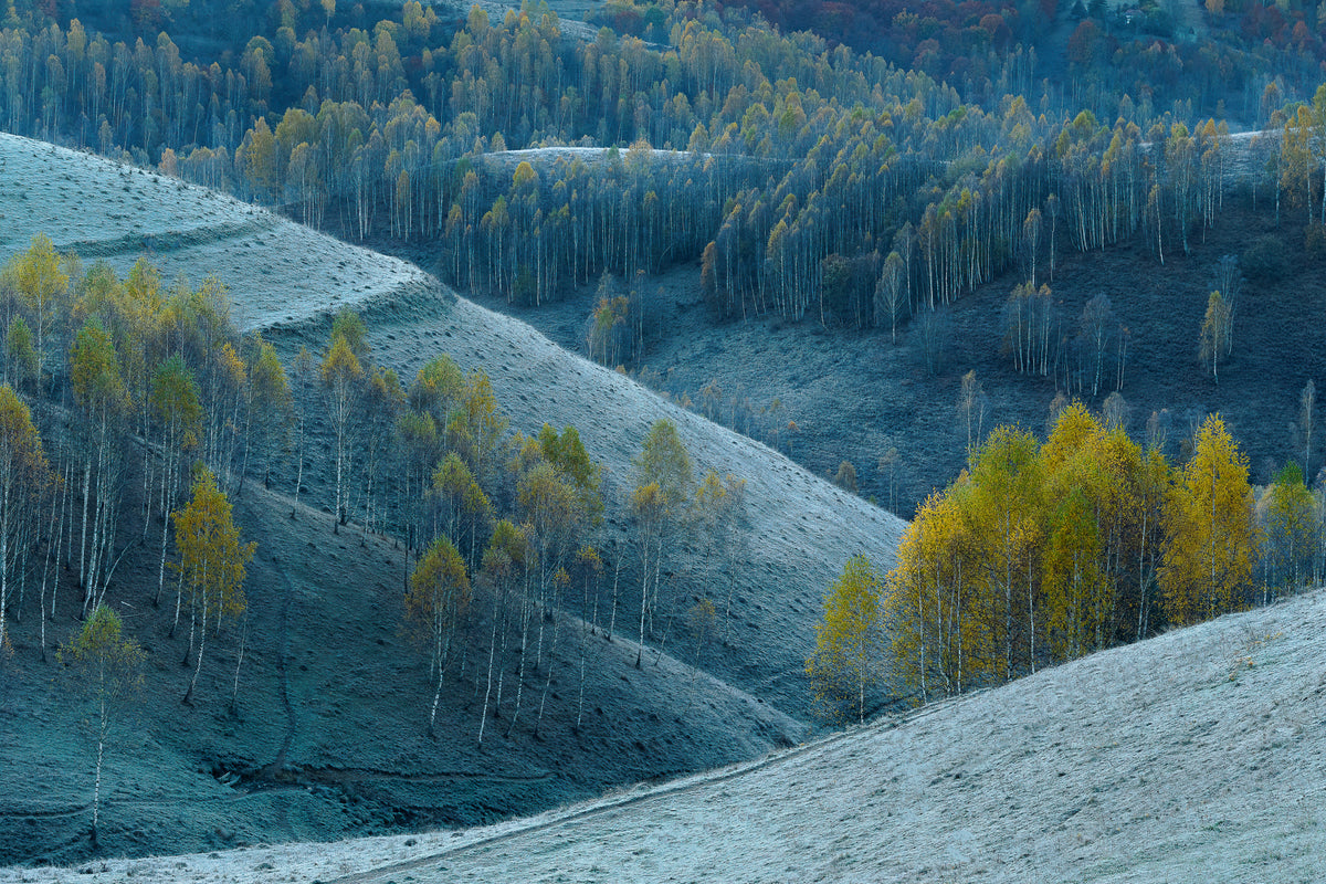 Zwischen Herbst und Winter