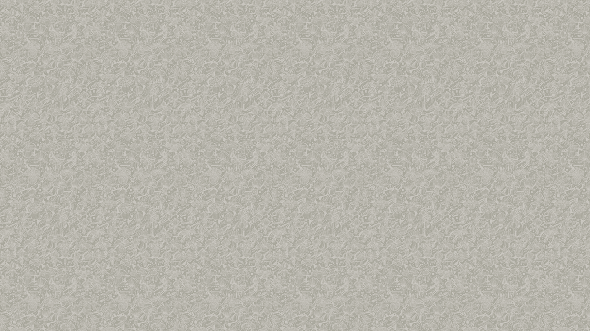 Orchid flowers - White beige