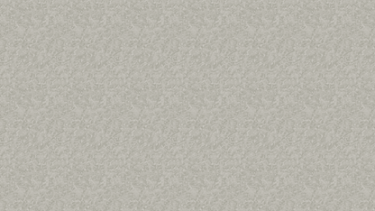 Orchid flowers - White beige