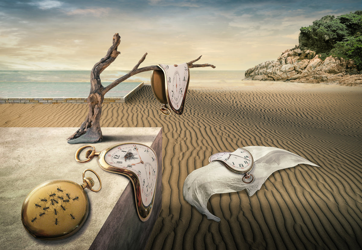 Hommage an Dali