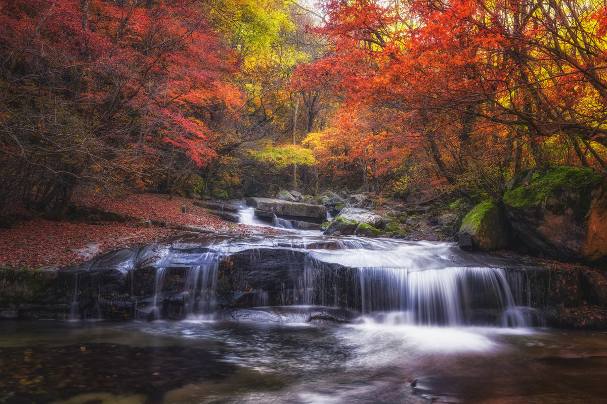 Herbst Herbst