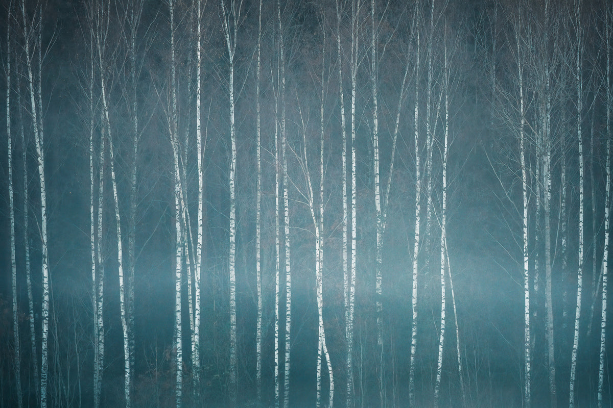 November mood