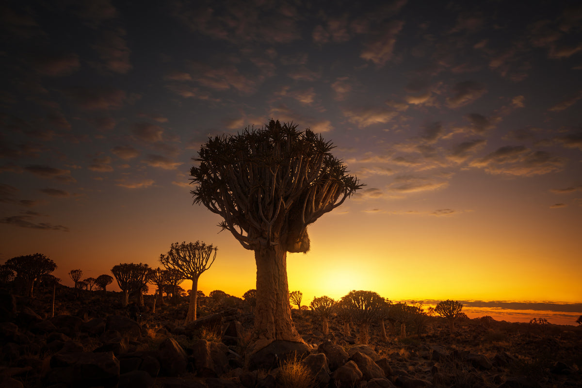 Bei Sonnenaufgang 7R4586