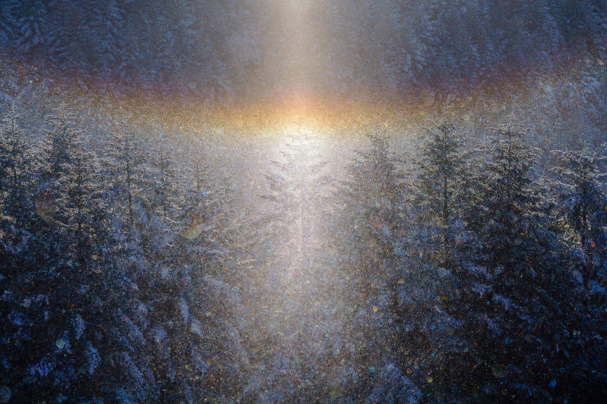 天使の降臨/advent of angels