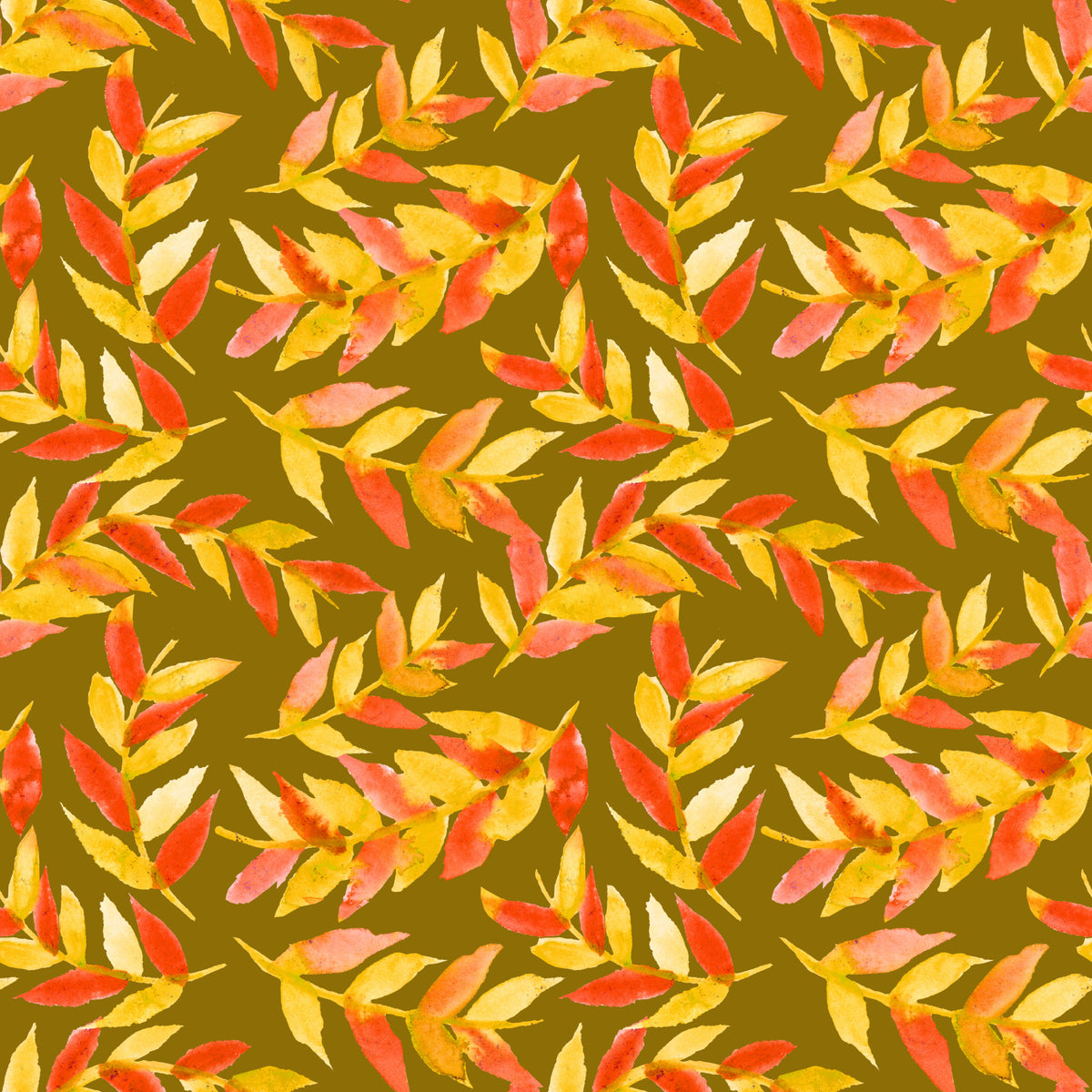 Leaves Curved Yellow Orange On Olive