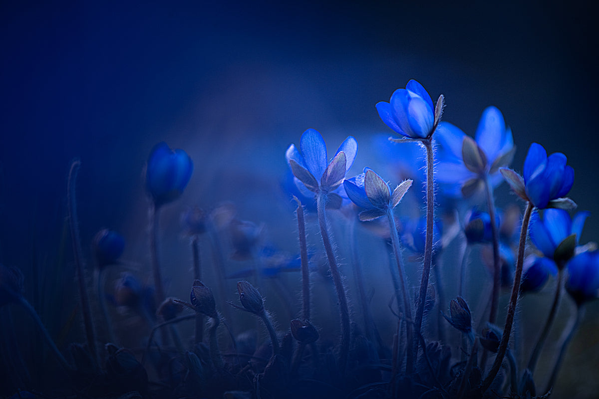 Out of the blue