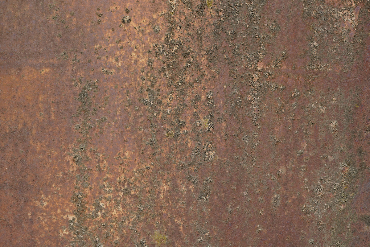Rost 3