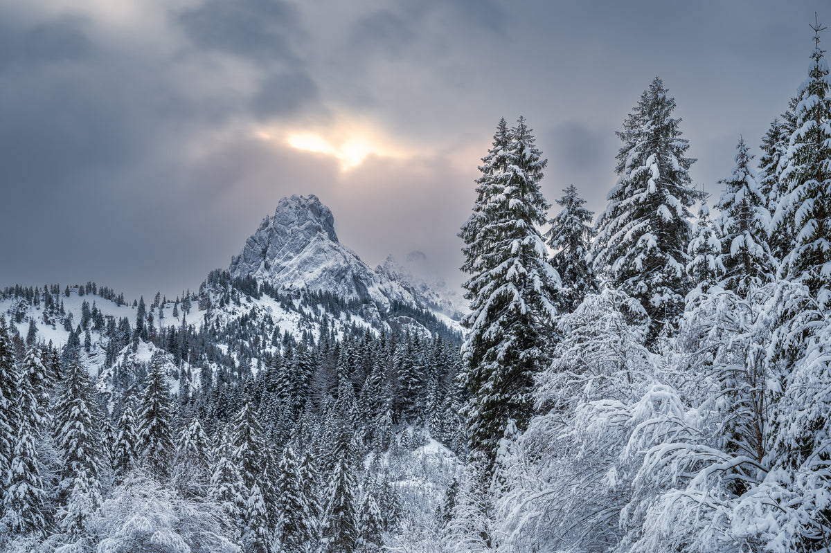The alpine freshness
