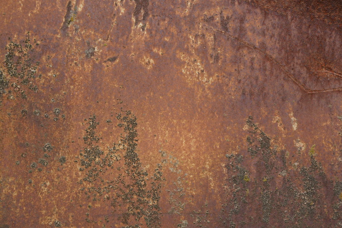 Rost 32