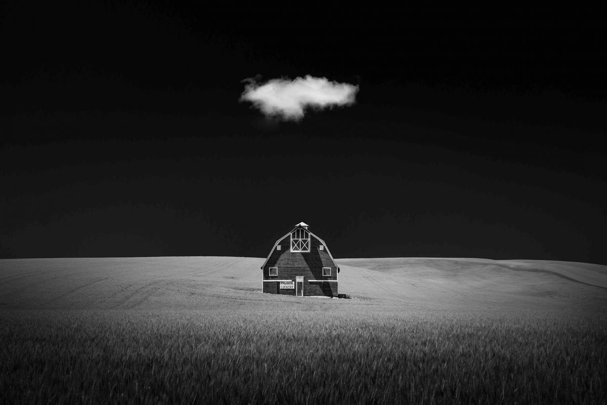 Watcher In The Rye