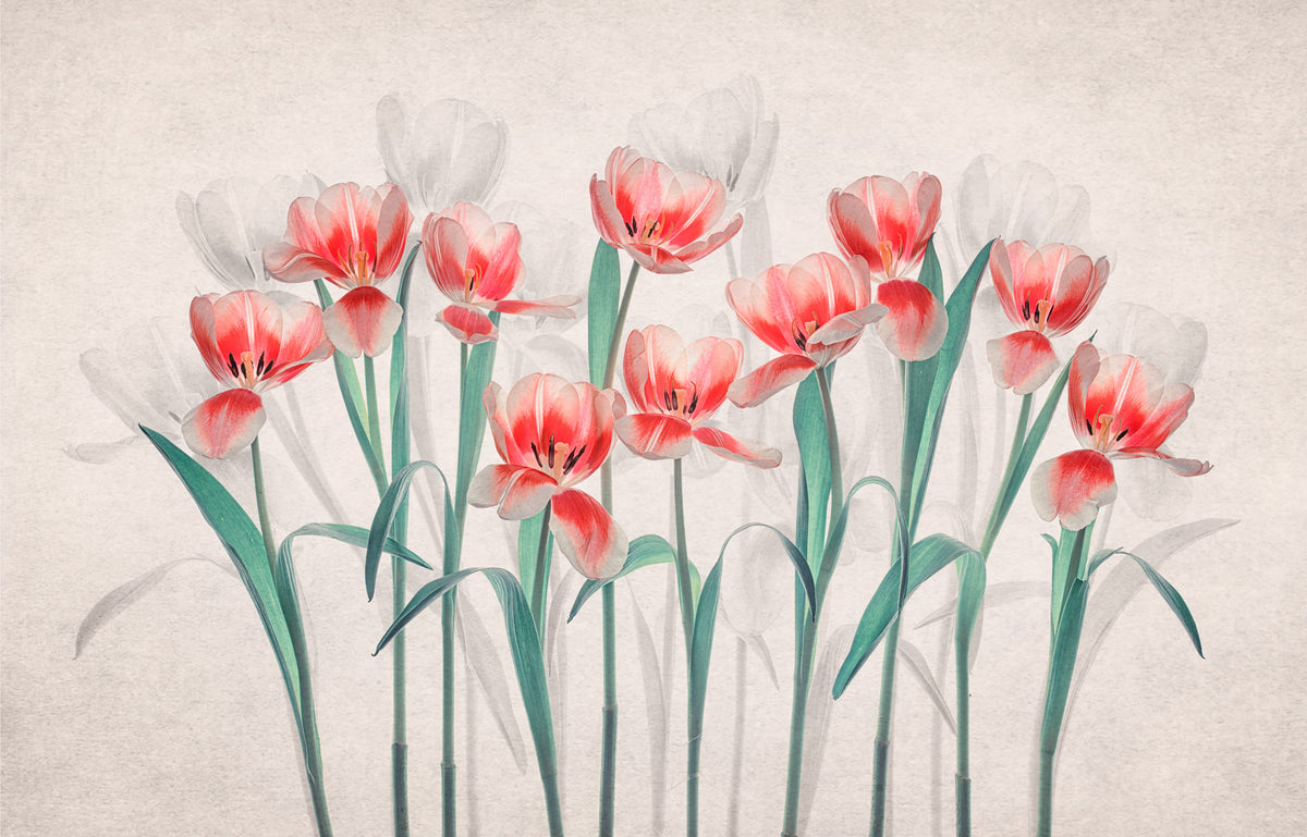 Joy of Spring