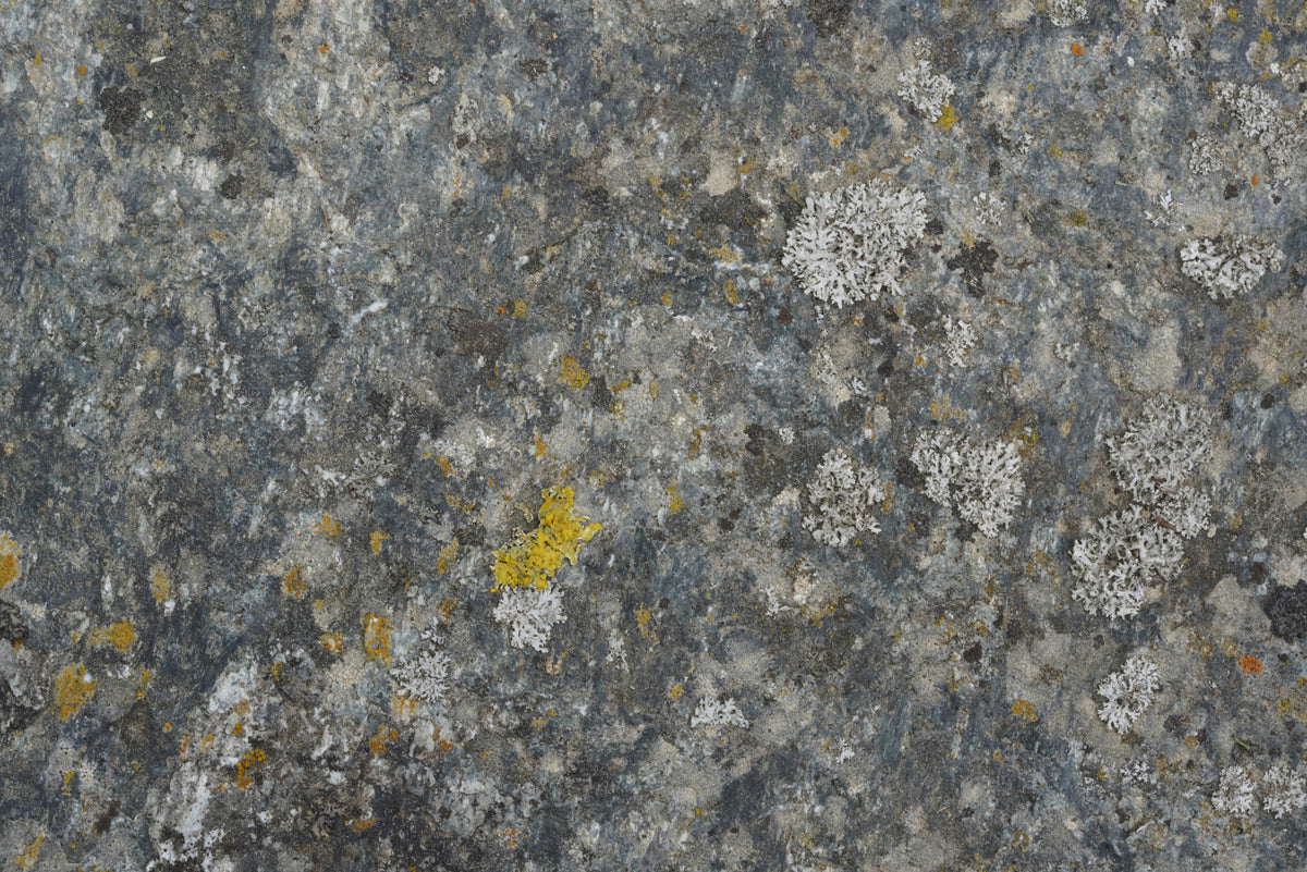 Tex Surface S5
