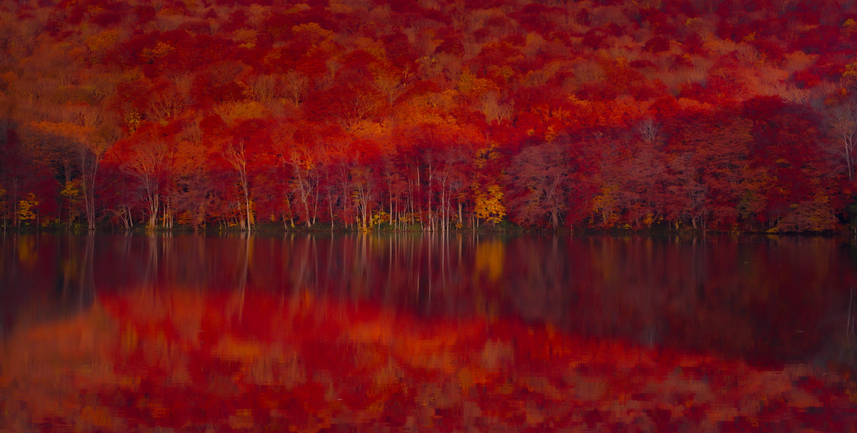 Burning red leaves