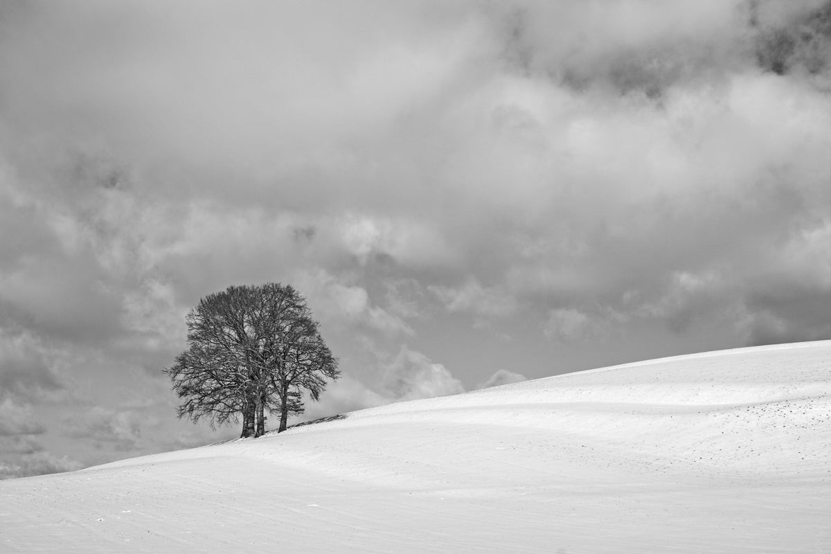 A cloudy winter day