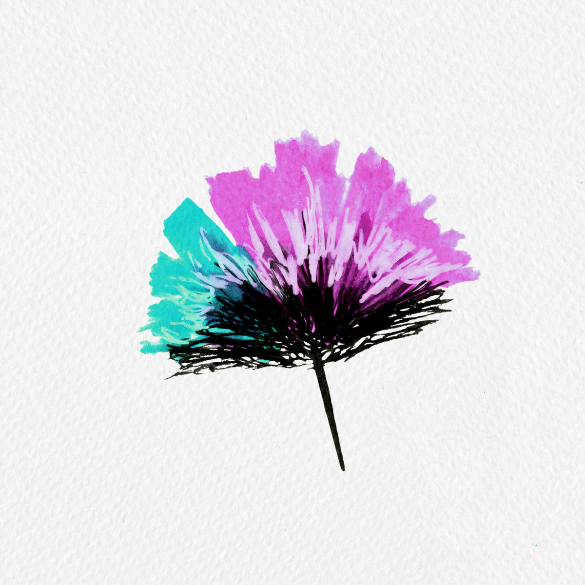 Single Feathery Flower Mint Lavender