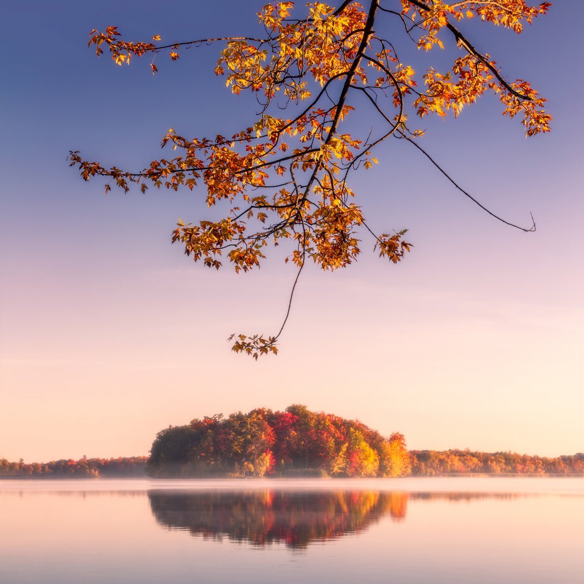 Herbstblätter