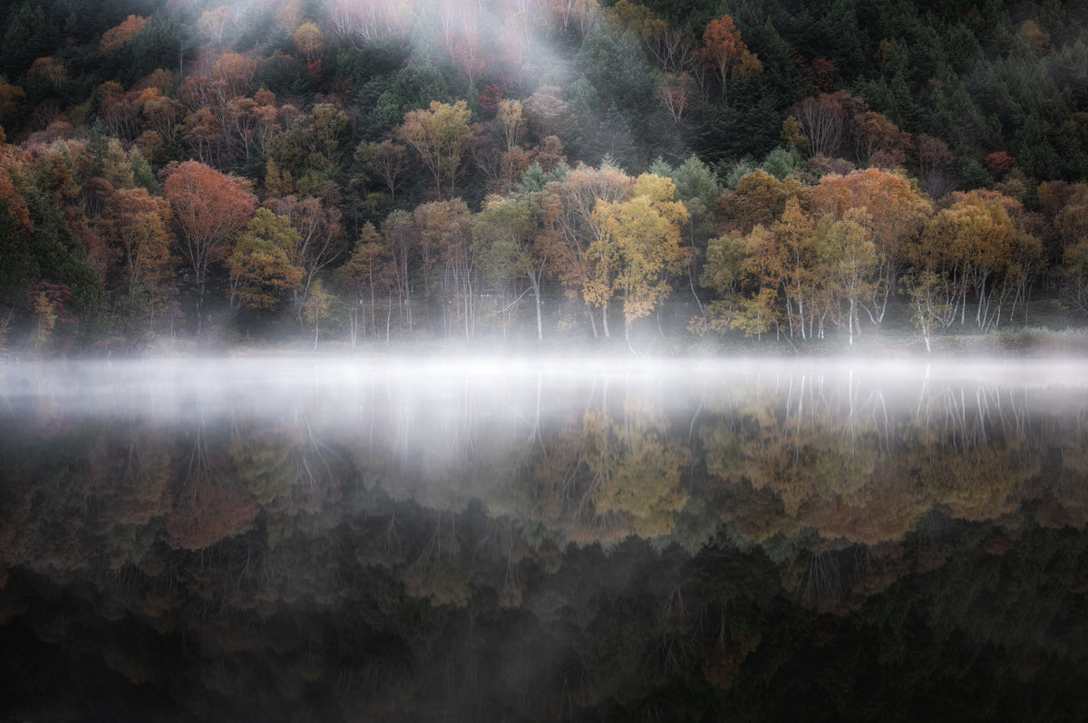 The mystical pond in the autumn 3
