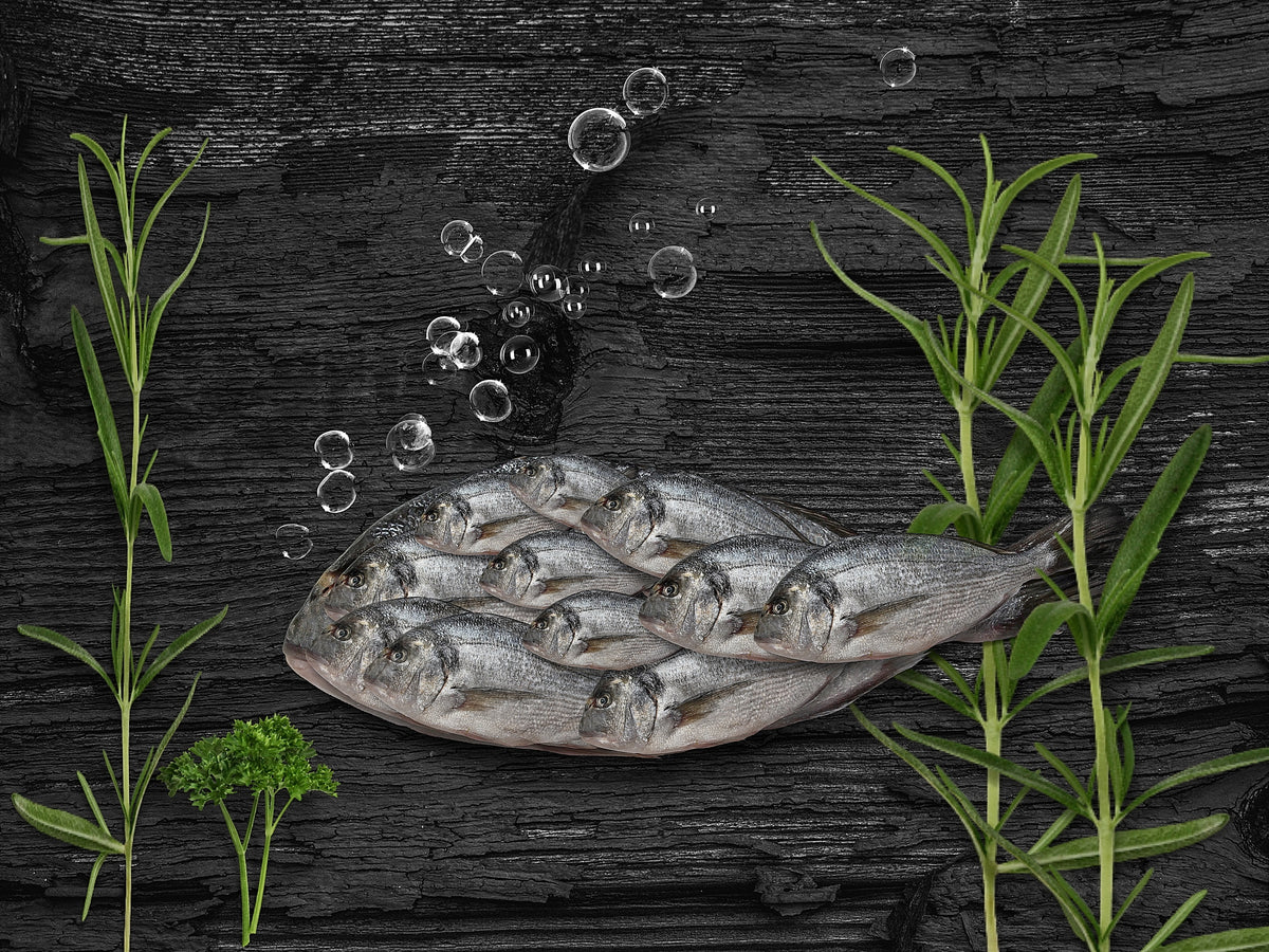 Selbst ein großer Fisch braucht ein Team