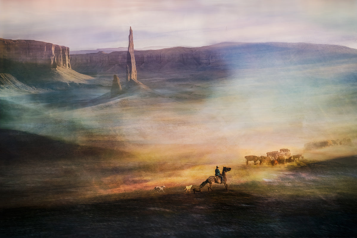 Migrations
