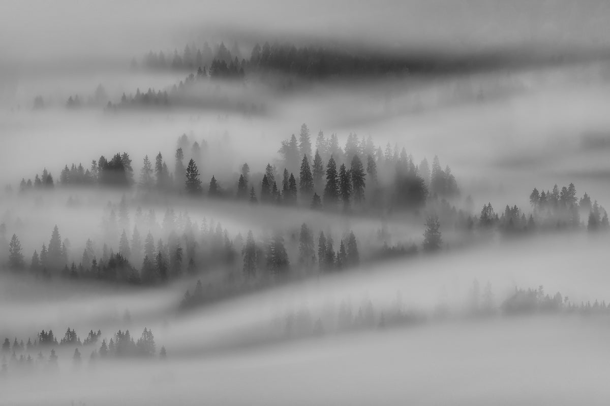 Autumn Impressions