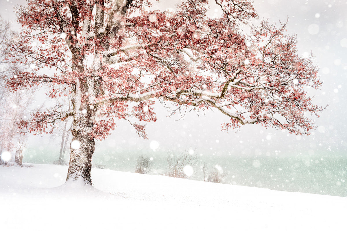 Schnee am See