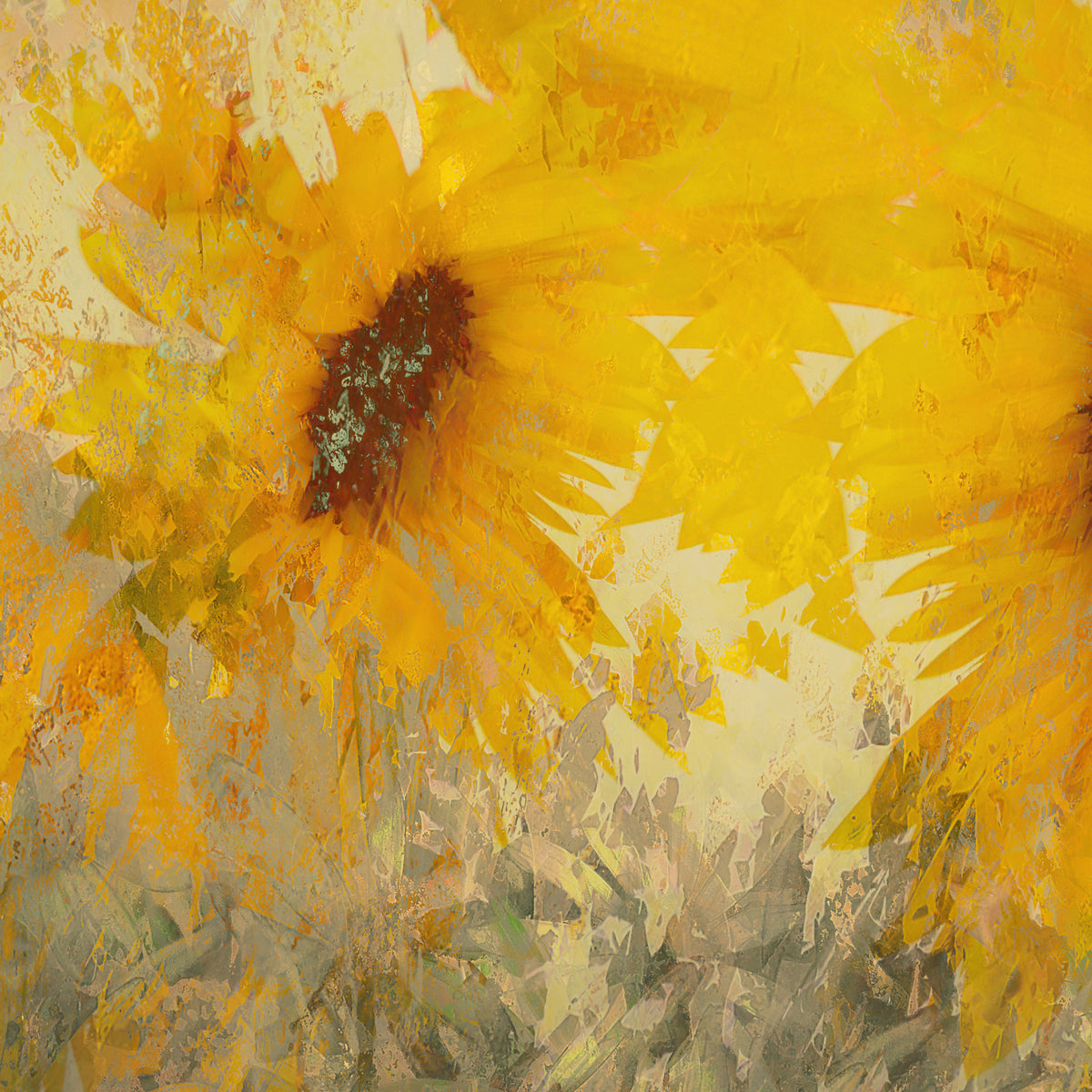 Sonnenblume