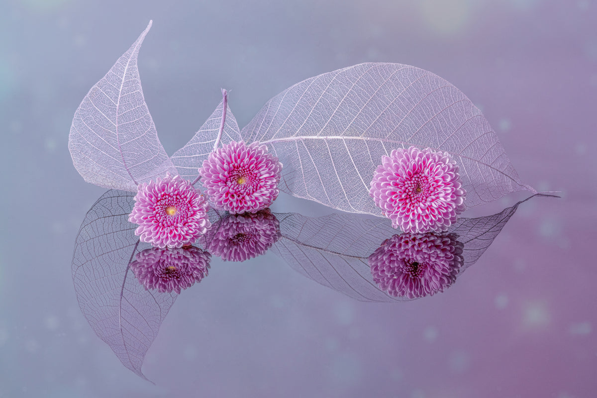 Blumen und Blätter