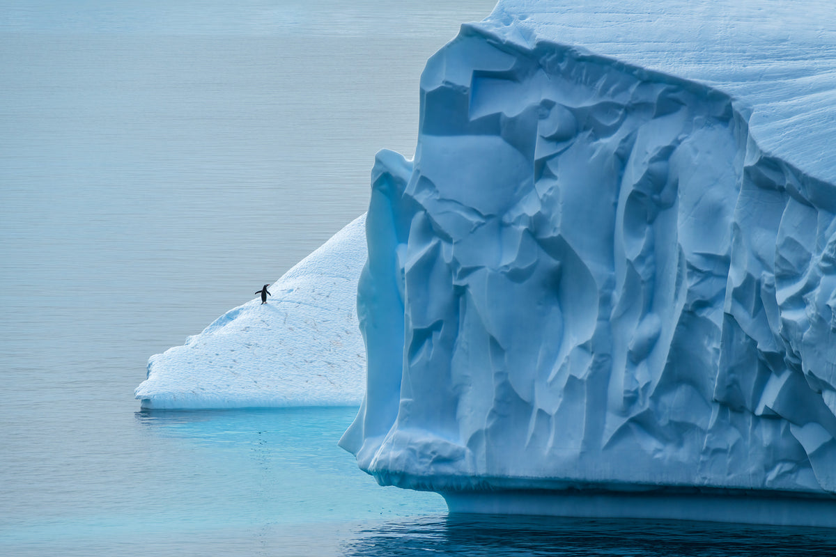 Lost in Antarctica