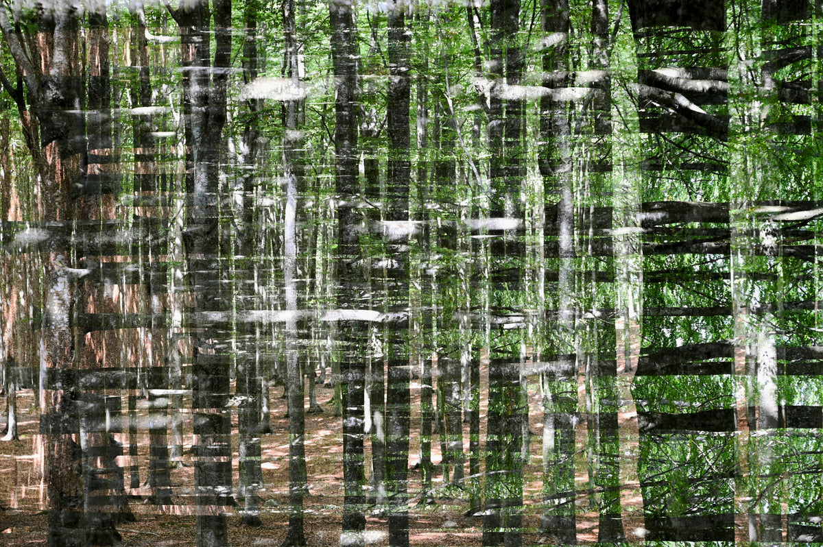 HILFLOSER WALD