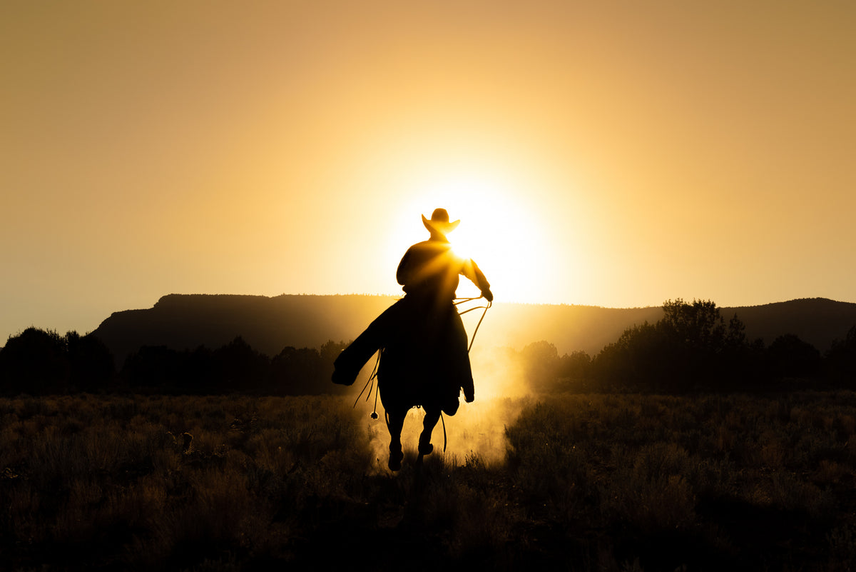 The Cowboy
