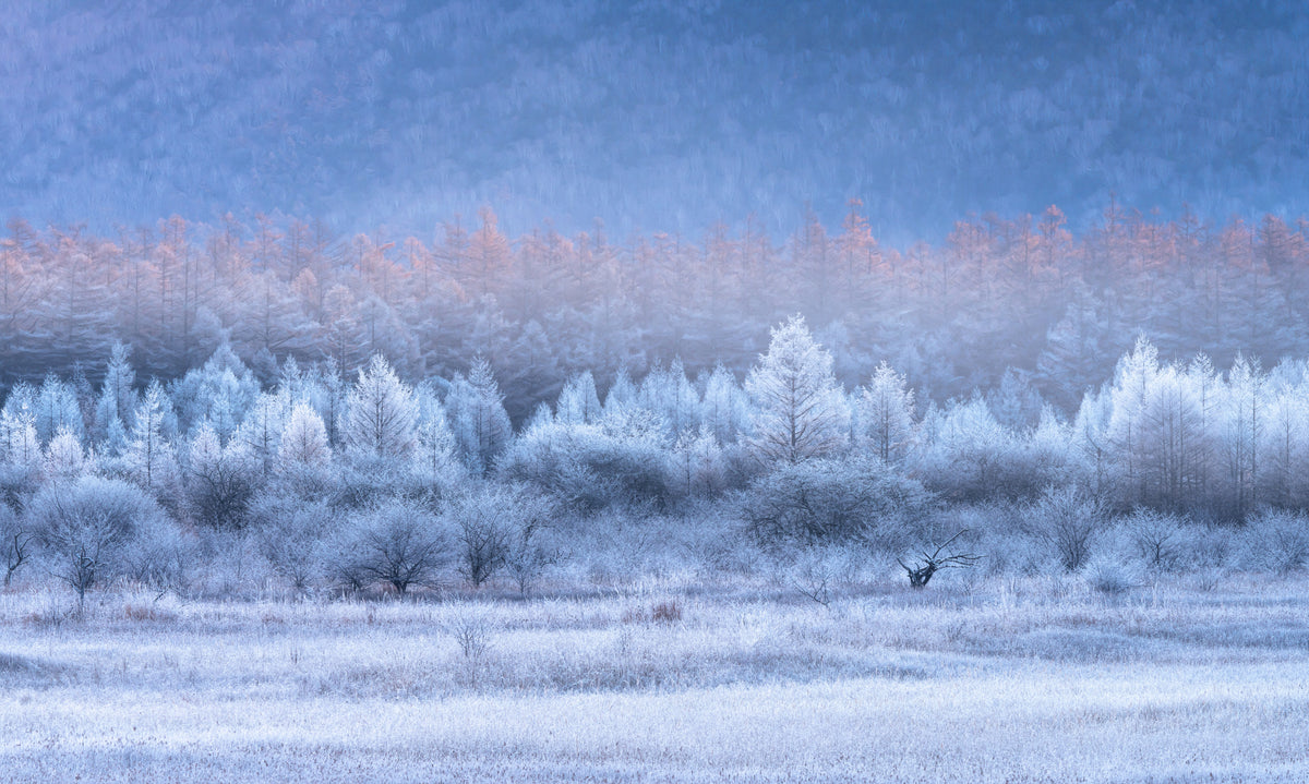 Herbst- und Winterverläufe