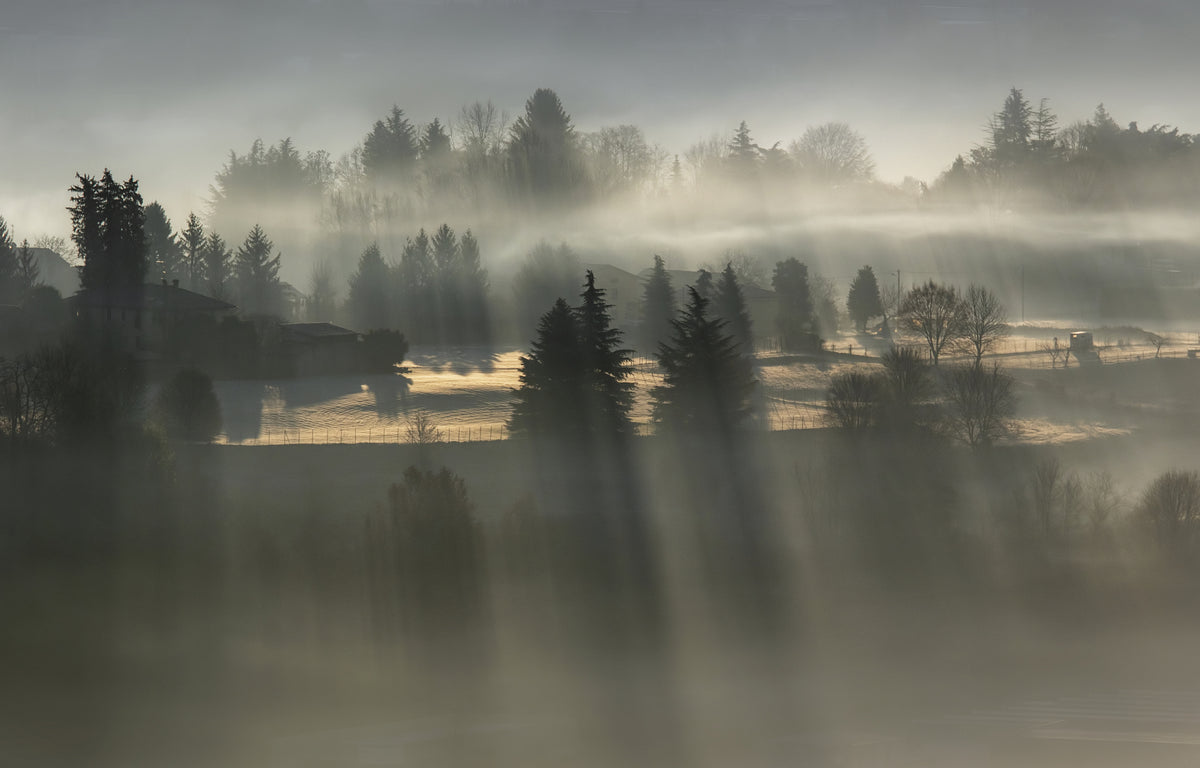 erste Sonnenstrahlen