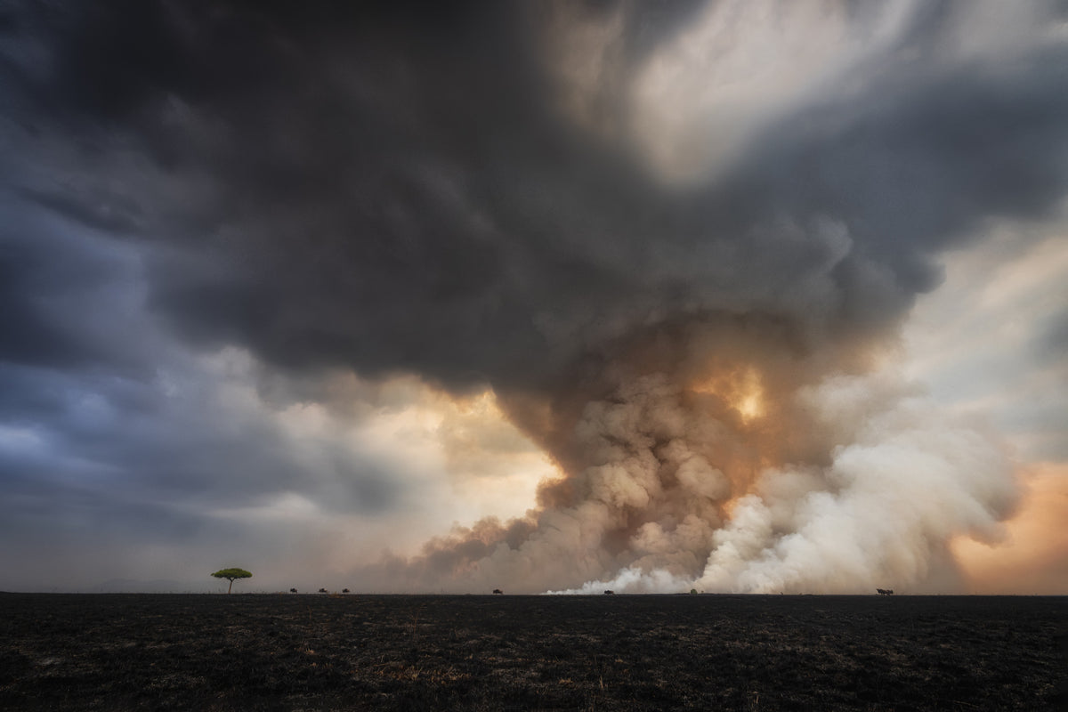 Savannah Burning