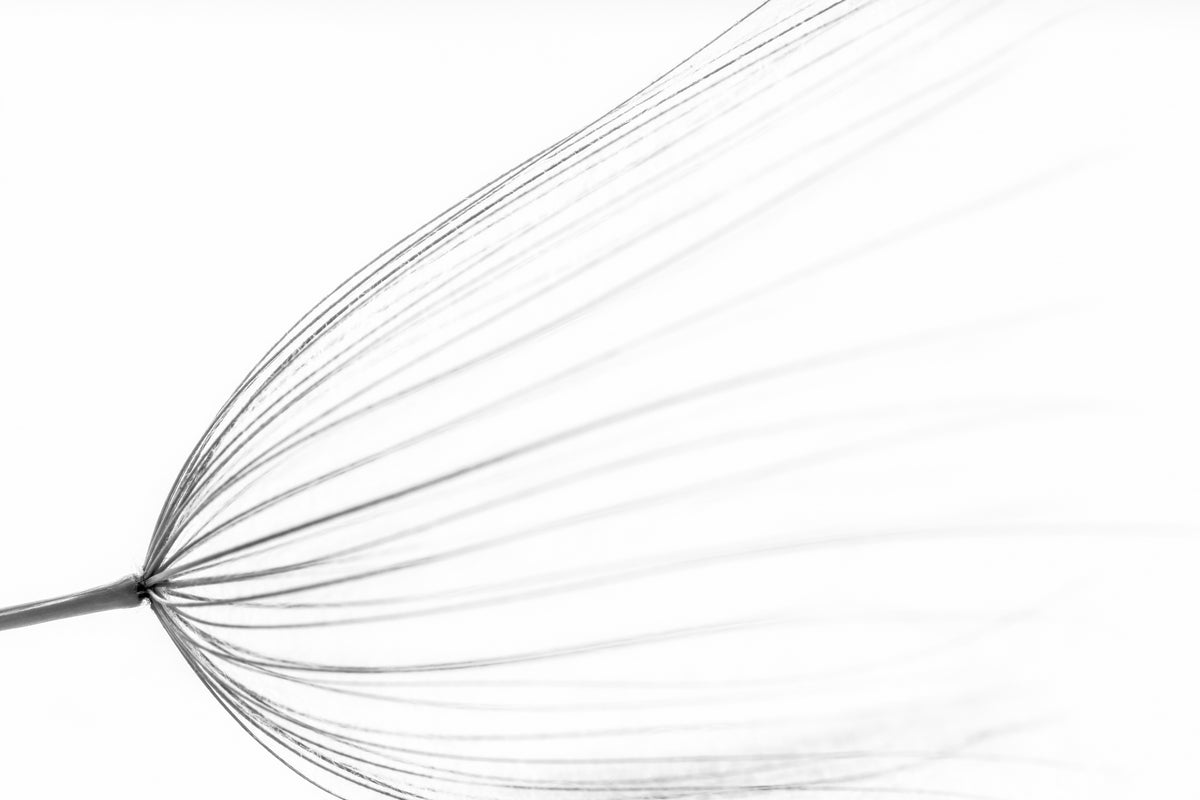 Das große Minimal