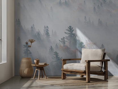 The Fog of Silence, The Fog of Illusion